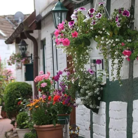 Holiday home Rose Comfortable *